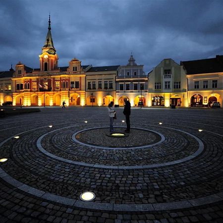 Ubytovani U Vinice Melnik Exterior foto