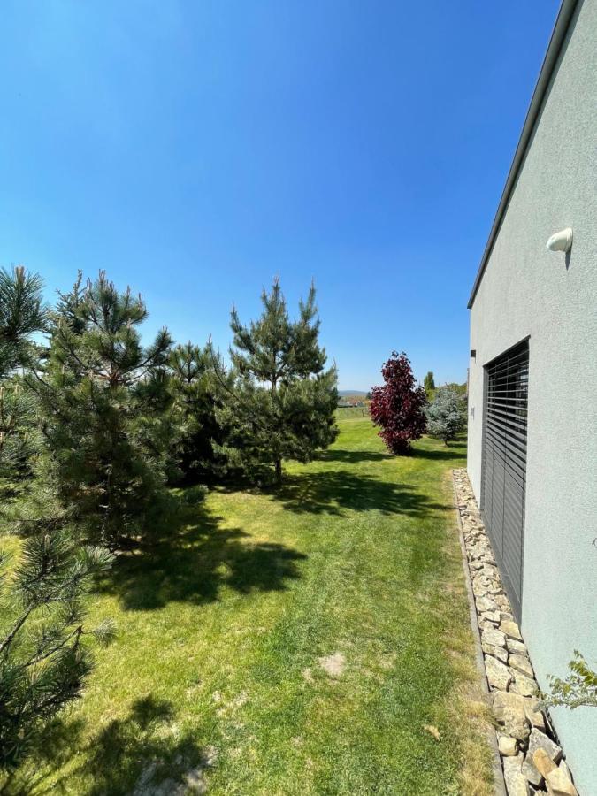 Ubytovani U Vinice Melnik Exterior foto